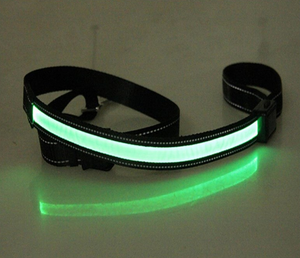 Collar Luminoso LED  para Perro - Recargable con Luz Solar y vía USB