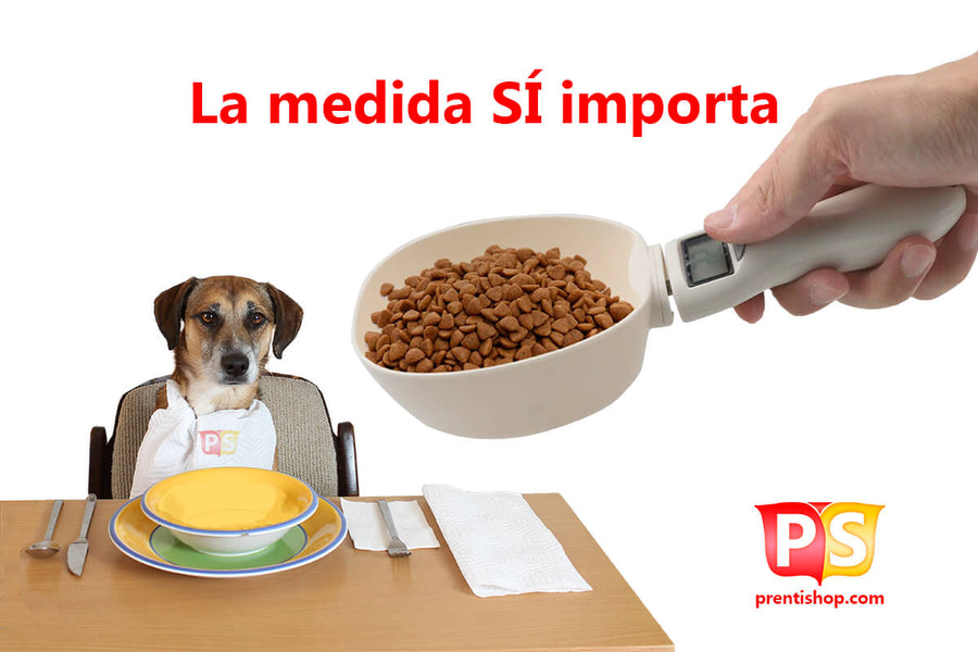 ¿Cuáles son los efectos de la obesidad en perros y gatos? o En el sobrepeso, la medida sí importa