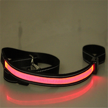 Cargar imagen en el visor de la galería, Collar Luminoso LED  para Perro - Recargable con Luz Solar y vía USB