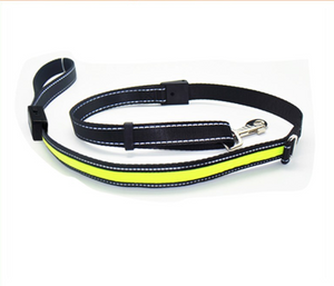 Collar Luminoso LED  para Perro - Recargable con Luz Solar y vía USB