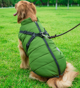 Chaleco-Pechera para Perro - Abrigo Impermeable con Arnés Integrado