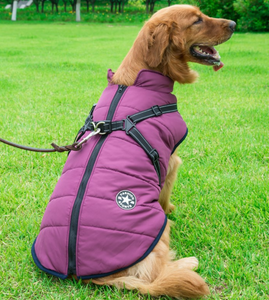 Chaleco-Pechera para Perro - Abrigo Impermeable con Arnés Integrado