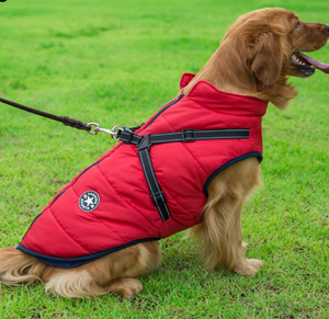 Chaleco-Pechera para Perro - Abrigo Impermeable con Arnés Integrado