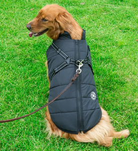 Chaleco-Pechera para Perro - Abrigo Impermeable con Arnés Integrado