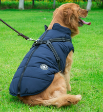 Cargar imagen en el visor de la galería, Chaleco-Pechera para Perro - Abrigo Impermeable con Arnés Integrado